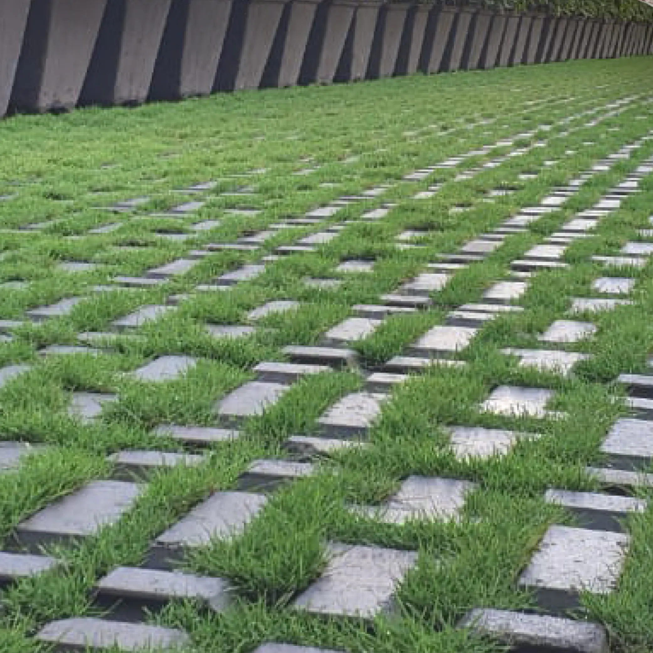 2. Grass Pavers